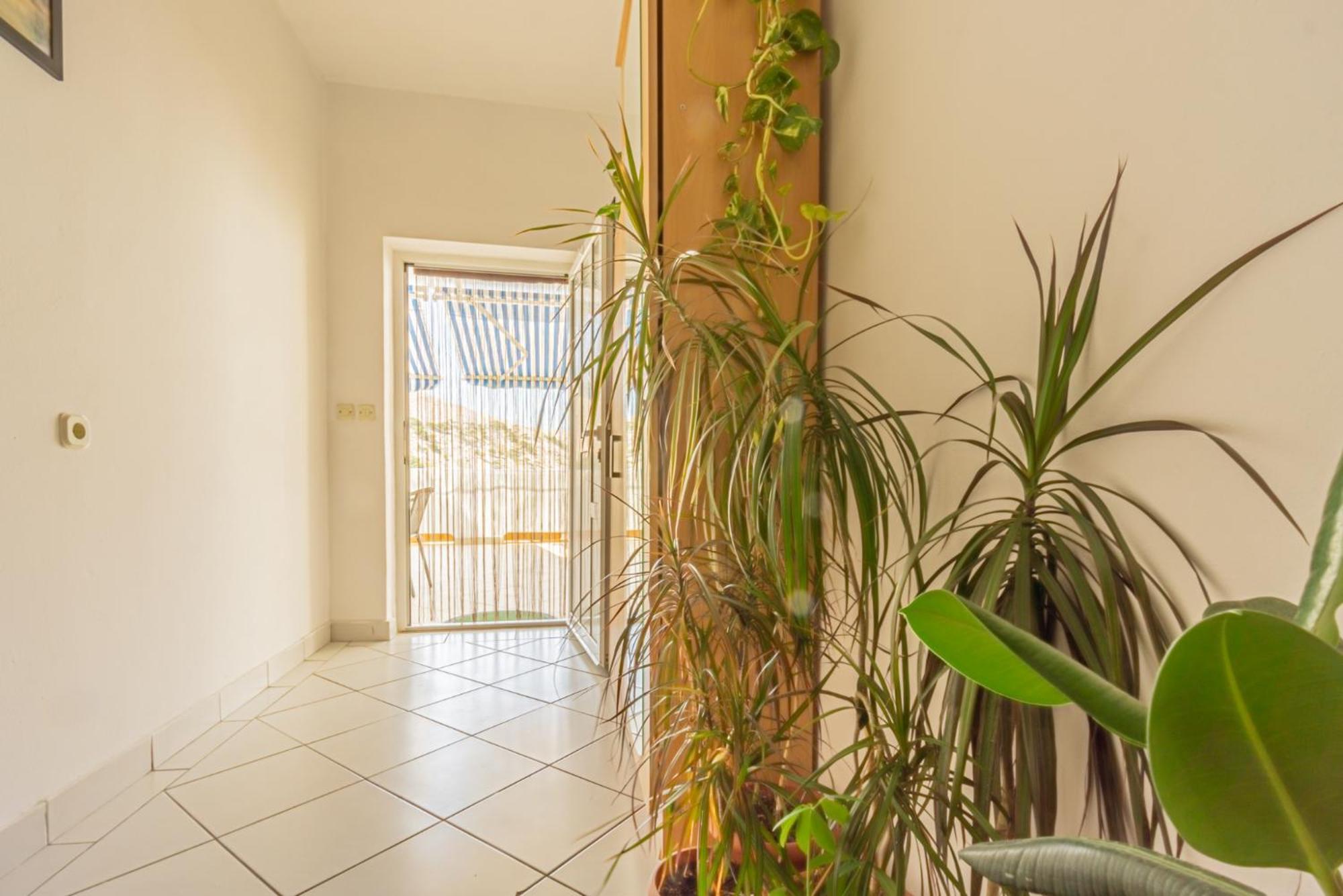 Apartamento Magdalena With Mountain And Seaview Metajna Habitación foto